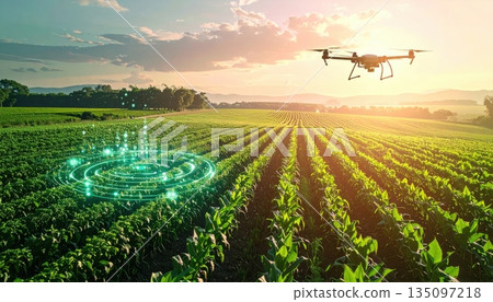 A solitary airplane rests in a lush green field under a vast blue sky filled with summer clouds as the sun sets over the rural agricultural landscape A solitary airplane rests in a lush green field under a vast blue sky filled with summer clouds as the sun sets over the rural agricultural landscape 135097218