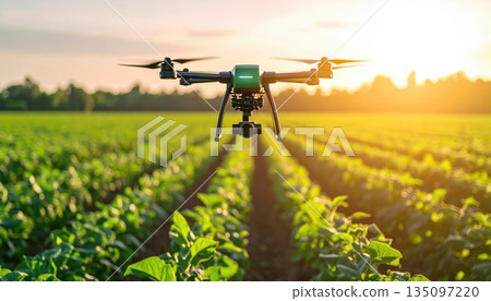 A solitary airplane rests in a lush green field under a vast blue sky filled with summer clouds as the sun sets over the rural agricultural landscape A solitary airplane rests in a lush green field under a vast blue sky filled with summer clouds as the sun sets over the rural agricultural landscape 135097220