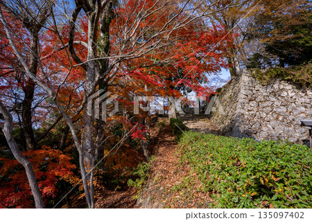 Bitchu Matsuyama Castle (Takahashi City) during the autumn foliage season Bitchu Matsuyama Castle (Takahashi City) during the autumn foliage season 135097402