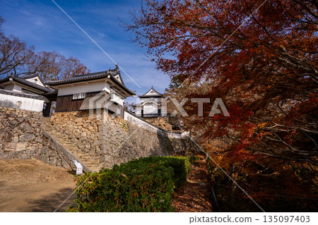 Bitchu Matsuyama Castle (Takahashi City) during the autumn foliage season Bitchu Matsuyama Castle (Takahashi City) during the autumn foliage season 135097403
