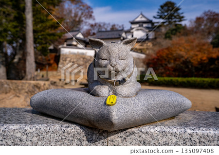貓王和備中松山城（高橋市） 135097408
