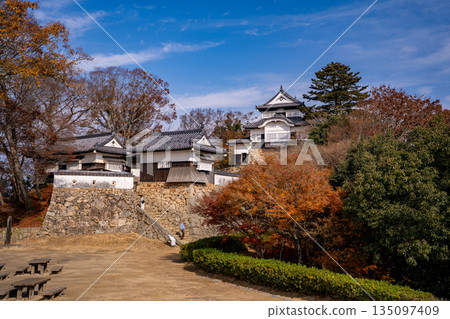 Bitchu Matsuyama Castle (Takahashi City) during the autumn foliage season 135097409