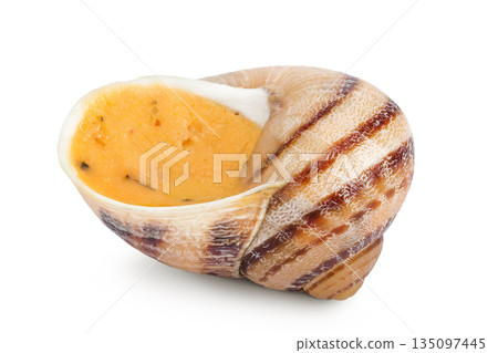 Dijon escargot snail filled with butter, tomato, garlic and cheese isolated on white background 135097445