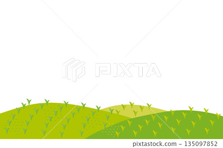 Natural landscape illustration of grassland and mountains 135097852