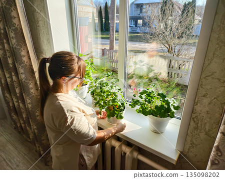 Woman standing by a sunlit window, actively caring for her houseplants on the windowsill, enjoying a hobby of indoor gardening and creating a cozy domestic life scene. Woman standing by a sunlit window, actively caring for her houseplants on the windowsill, enjoying a hobby of indoor gardening and creating a cozy domestic life scene. 135098202