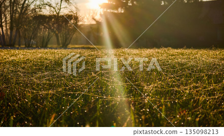 A vibrant rural landscape. Morning light shines over farmland. Sunlight warms the peaceful countryside. The early morning sun casts a bright light over the quiet countryside and distant trees. A vibrant rural landscape. Morning light shines over farmland. Sunlight warms the peaceful countryside. The early morning sun casts a bright light over the quiet countryside and distant trees. 135098213