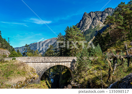 Pont d'Espagne Bridge in Cauterets, pine forest with mountain river, Pyrenees , France 135098517