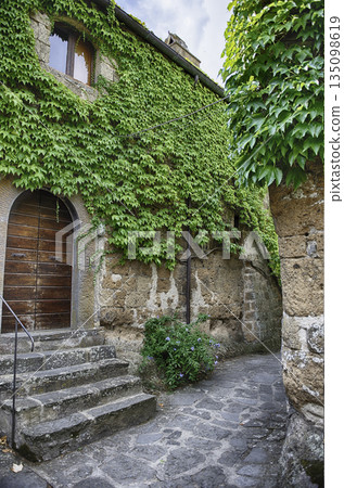 Ancient Stone Dwellings and Verdant Foliage in Civita di Bagnoregio 135098619