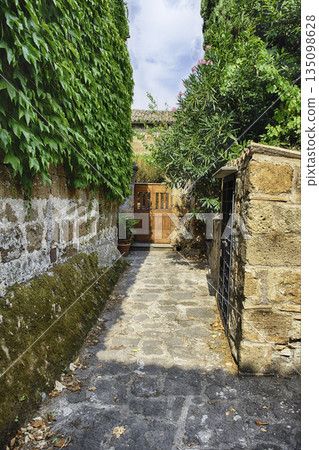 Ancient Stone Dwellings and Verdant Foliage in Civita di Bagnoregio Ancient Stone Dwellings and Verdant Foliage in Civita di Bagnoregio 135098628