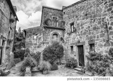 Ancient Stone Dwellings and Verdant Foliage in Civita di Bagnoregio 135098665