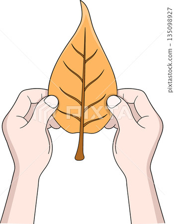 Save Our Earth With Caring Hands Holding Leaf 135098927