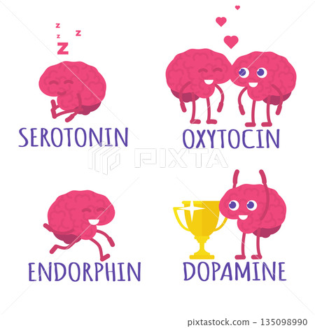 Reward chemical, Hormone health concept with cute Brain character. Serotonin Endorphin Oxytocin Dopamine. Vector illustrations Reward chemical, Hormone health concept with cute Brain character. Serotonin Endorphin Oxytocin Dopamine. Vector illustrations 135098990