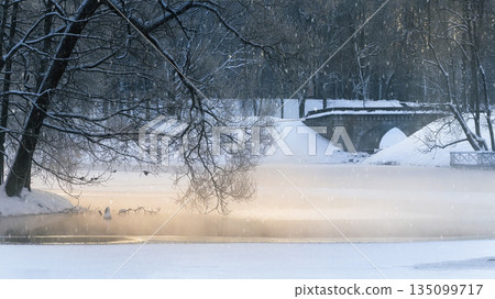 A snowy landscape with a bridge in the background. Gatchina. A snowy landscape with a bridge in the background. Gatchina. 135099717