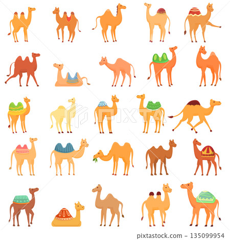 Camel icons set, cartoon style 135099954
