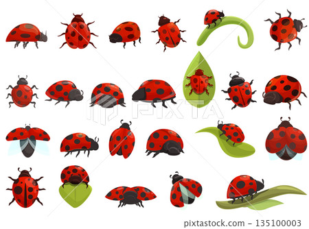 Insect ladybird icons set cartoon vector. Fly kids insect Insect ladybird icons set cartoon vector. Fly kids insect 135100003