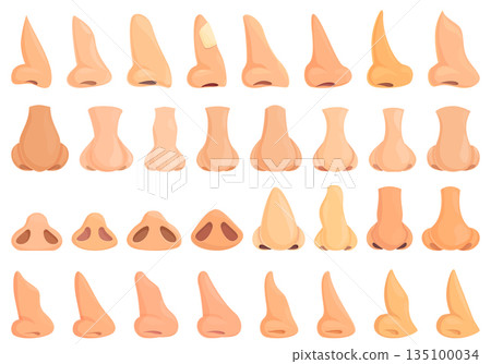 Rhinoplasty icon cartoon vector. Human nose Rhinoplasty icon cartoon vector. Human nose 135100034