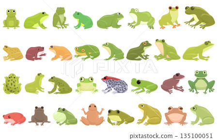 Frog icons set cartoon vector. Toad water Frog icons set cartoon vector. Toad water 135100051