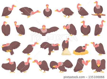 Vulture icons set cartoon vector. Animal bird 135100066