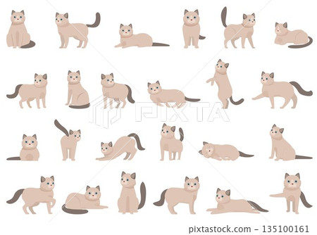 Ragdoll icons set cartoon vector. Nature animal Ragdoll icons set cartoon vector. Nature animal 135100161