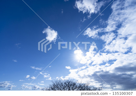 冬日的天空、雲彩和樹木 冬日的天空、雲彩和樹木 135100307