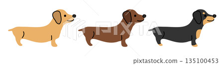 一隻迷你臘腸狗的可愛插圖。 135100453