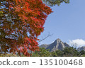 Mt. Hoko and autumn leaves 135100468