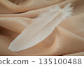 White feathers 135100488