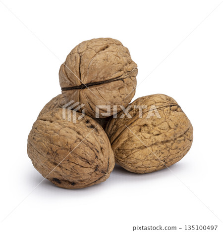 Walnut on white background 135100497