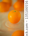 ripe kumquat by chance 135100556