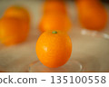 ripe kumquat by chance 135100558