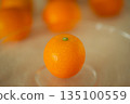 ripe kumquat by chance 135100559