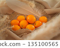 ripe kumquat by chance 135100565