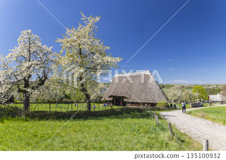 Kourim open air museum showcasing traditional Czechia rural architecture in spring Kourim open air museum showcasing traditional Czechia rural architecture in spring 135100932