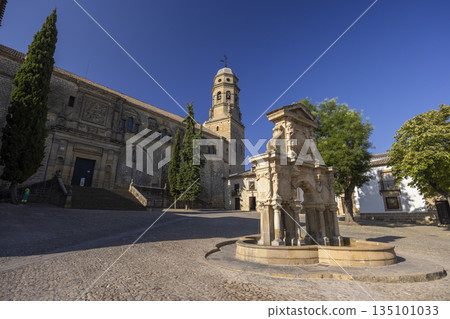 Fountain of Santa Maria and Baeza Cathedral, Plaza de Santa Maria 135101033