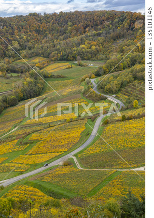 Jura vineyards changing autumn colors in Chateau Chalon Jura vineyards changing autumn colors in Chateau Chalon 135101146