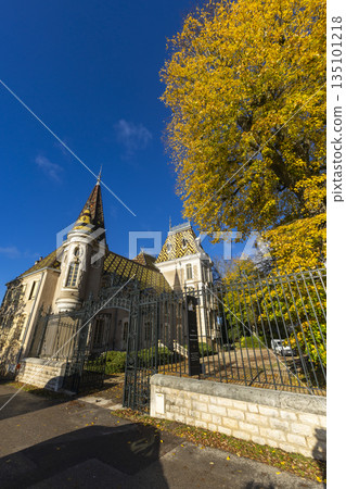 Grand building with Burgundian tiled roof and autumn tree in Aloxe Corton 135101218