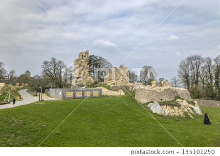 Chateaus de Saint Aubin du Cormier ruins in Brittany, France 135101250