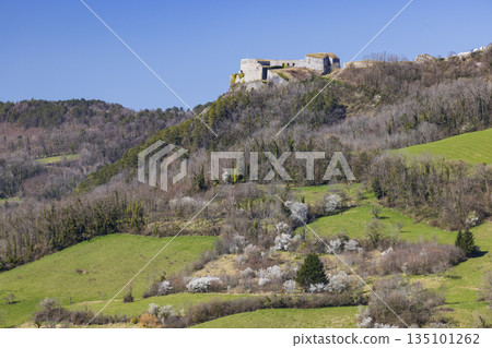 Fort Belin historic fortress in Salins les Bains landscape Fort Belin historic fortress in Salins les Bains landscape 135101262