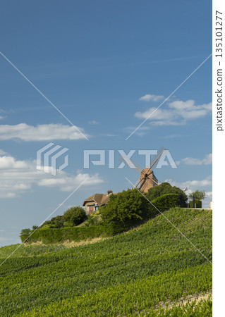 Verzenay windmill overlooking green Champagne vineyards Verzenay windmill overlooking green Champagne vineyards 135101277