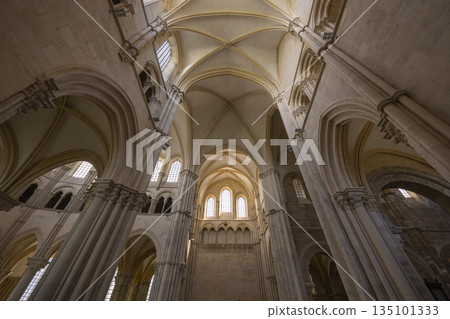 Vezelay Basilica Saint Mary Magdalene church interior Vezelay Basilica Saint Mary Magdalene church interior 135101333