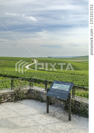 Val de Livre vineyard landscape with interpretive sign 135101352