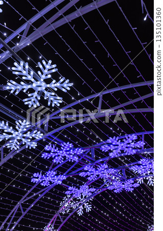 Snowflake light tunnel illuminating a festive winter night Snowflake light tunnel illuminating a festive winter night 135101360