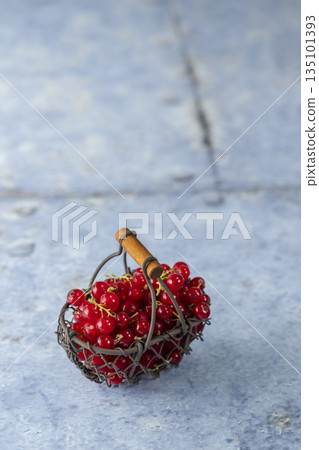 Fresh redcurrants filling metal basket on blue surface 135101393