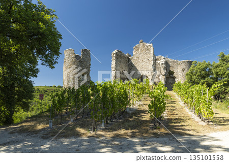 Ancient castle ruins overlooking vineyard in Drome France 135101558