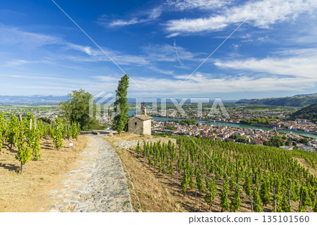Hermitage vineyard chapel overlooking Tain l'Hermitage and Rhone river 135101560
