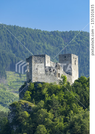 Strecno Castle ruins in Zilinsky kraj, Slovakia 135101635