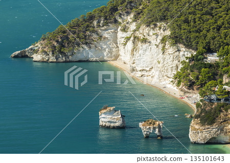 Gargano coastline with turquoise water and famous Faraglioni Gargano coastline with turquoise water and famous Faraglioni 135101643
