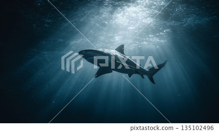 Festive valentines day garland hearts and gift tags for a bright and cheerful decor 135102496