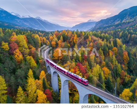 Modern red train crossing viaduct amidst alpine mountains in autumn landscape 135102764