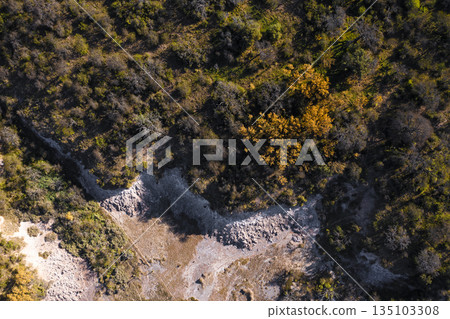 Calden forest landscape, Prosopis Caldenia plants, La Pampa province, Patagonia, Argentina. Calden forest landscape, Prosopis Caldenia plants, La Pampa province, Patagonia, Argentina. 135103308